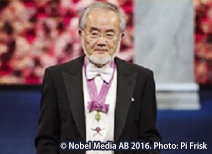 大隅良典栄誉教授受賞　ノーベル賞メダル公開