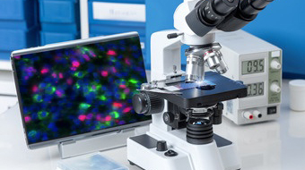 第一線の教授陣+最先端設備で挑戦的課題に挑む