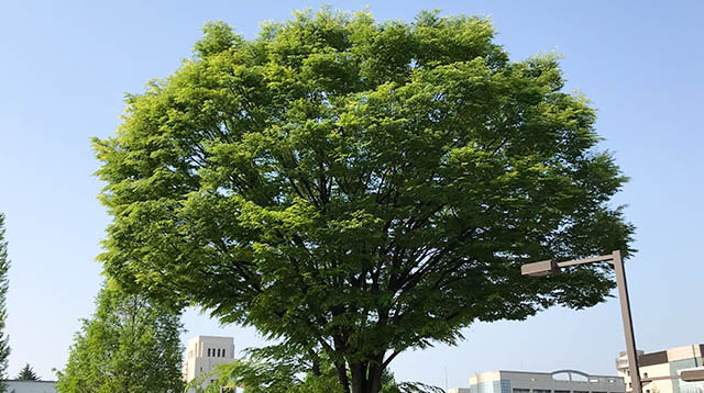 第9回「相続・遺贈セミナー」～あなたの気持ちをのこしませんか～