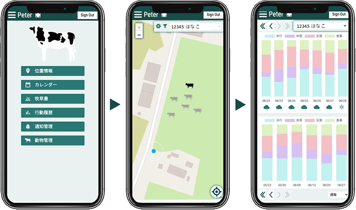 Figure 2 User interface of PETER (Provided by Dr. Takumi Ohashi, Assistant Professor, Tokyo Tech)