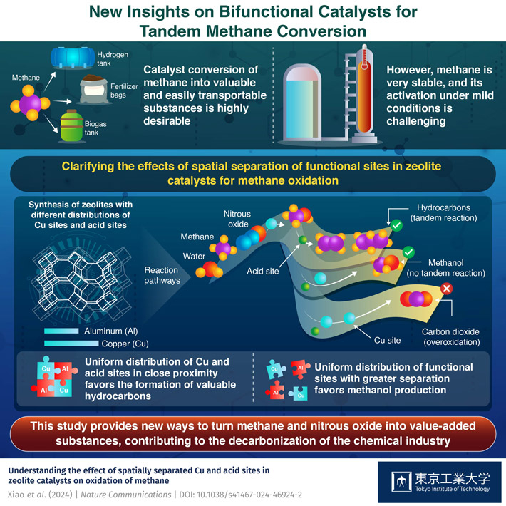 Clarifying the effects of spatial separation of functional sites in zeolite catalysts for methane oxidation