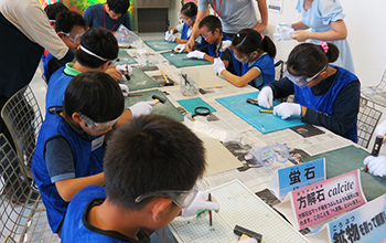 Crushing minerals to more closely observe them