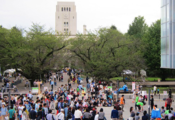 Day of the festival in 2016