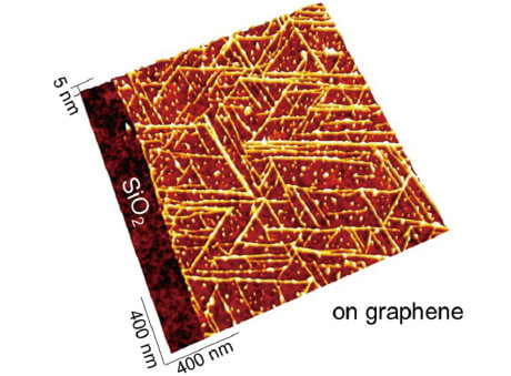 Image of peptides self-assembled on the graphene surface taken by an atomic force microscope.