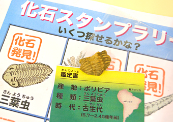 Stamp sheet for the fossil hunt