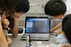 Challenge 5: Sleeping Chironomid Challenge Let's revive a sleeping chironomid!