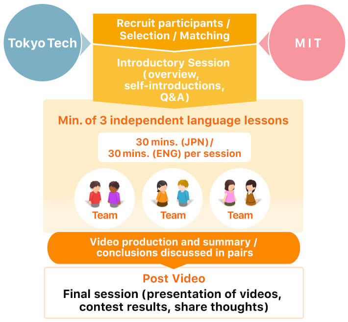 Flow of Online Language Exchange