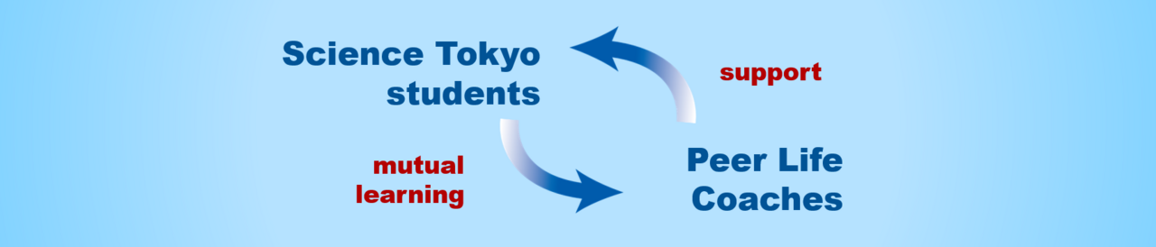 Support & Mutual learning