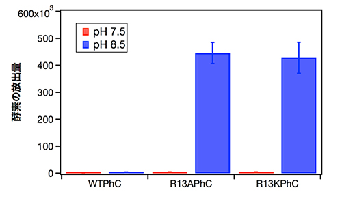 PKC内包多角体の溶解による酵素の放出量
