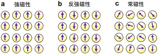 図6a: 強磁性、図6b: 反強磁性、図6c: 常磁性(非磁性)の模式図。各矢印が原子の磁化を表しています。