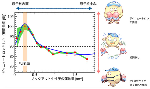 図3. ダイニュートロンの表面局在を示す実験結果とダイニュートロンの概念図