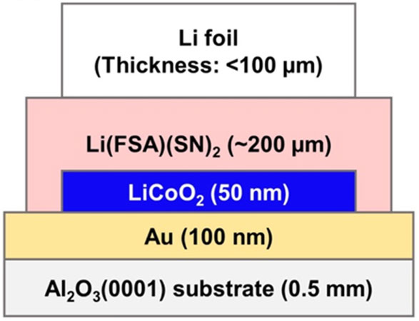 図5:Li(FSA)(SN)2を固体電解質として作製した薄膜全固体電池(Li|Li(FSA)(SN)2|LiCoO2)の外観