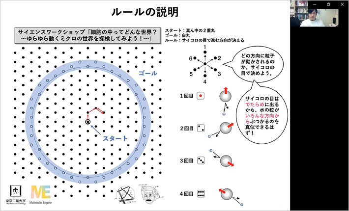 小学生向けサイエンスワークショップ「細胞の中ってどんな世界?」を開催