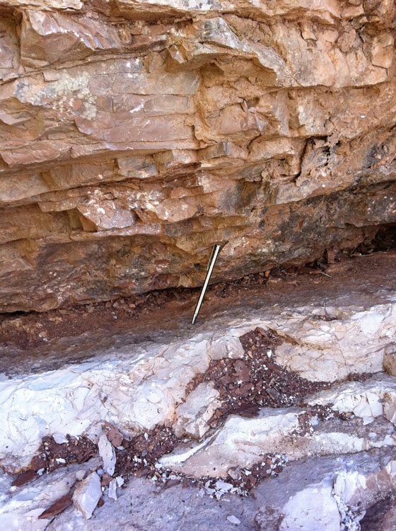 図3. イタリアのグッビオで発見された白亜紀/古第三紀境界のイリジウム異常濃集層。ペン先の赤褐色粘土層が境界に相当。この発見により、白亜紀末の生物大量絶滅と小惑星衝突に関する研究が一気に加速した(ブリュッセル自由大学Philippe Claeys教授提供)。