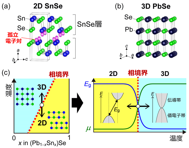 図1. (a,b)2D SnSeと3D PbSeの結晶構造。(c)(Pb1-xSnx)Se固溶体において、2D SnSeと3D PbSeが直接接する相境界を形成できれば(左図)、温度変化により2D-3D構造を直接転移させ、バンドギャップ(Eg)とキャリア移動度(μ)を大きく変化させられる(右図)。