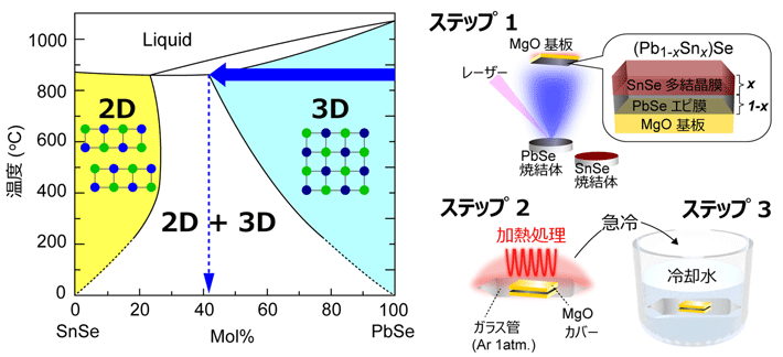 図2. 2D SnSe-3D PbSeの平衡状態図(左)、高温固相反応と急冷処理を組み合わせた薄膜成長法(右)