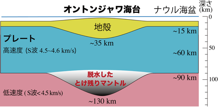図3 本研究で得られた成果の模式図 オントンジャワ海台形成時の熱組成プルームの融け残りの水に乏しいマントル物質が、オントンジャワ海台のプレートの底に貼り付き、オントンジャワ海台の厚いプレートを形成しました。