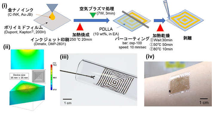 図2. (i)薄膜状発熱デバイスの作製方法、(ii)有限要素法による発熱挙動の解析結果、(iii)発熱デバイスをポリ塩化ビニル製のチューブに収納した様子、(iv)発熱デバイスを皮膚に貼付した様子(論文 Figure 2a、2f、Figure 3cおよびFigure 5dを改変のうえ転載)