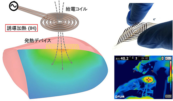 独自の配線転写技術を用いた電子回路形成により、高分子薄膜からなる柔軟性に富んだ厚さ7 µmの発電デバイスを開発。非接触給電による誘導加熱(IH)を利用して、生体組織の局所的な加温を実現した。(論文 Figure 1およびFigure 6eを改変のうえ転載)