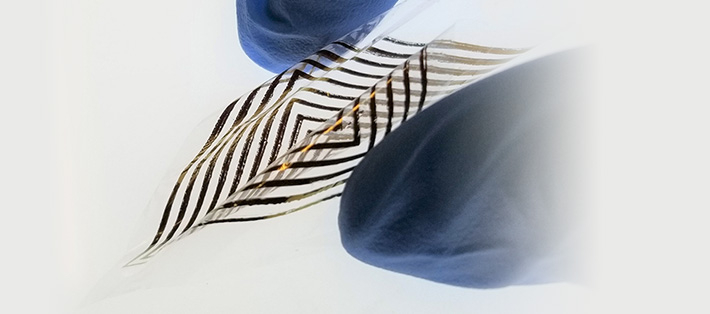 臓器をピンポイントで温め、がん細胞をやっつける!