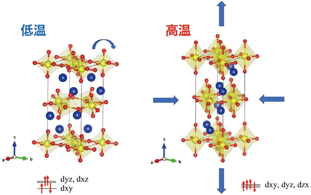 Ca2RuO4の低温(左)と高温(右)の結晶構造。低温ではdxy軌道のみが2つの電子を持つため、酸素8面体が横に伸びている。8面体が傾斜することでもc軸(縦)方向に収縮している。昇温すると、これらの歪みが解消することで、c軸(縦)方向に膨張、b軸(横)方向に収縮する。