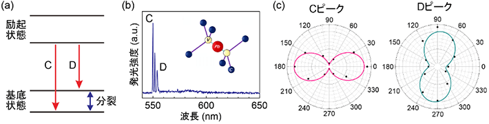 図1 (a) ダイヤモンド中のPbV中心のエネルギー準位。 (b) PbV中心の発光スペクトル(約6 K)。CとDピークの間にあるのは、ダイヤモンド結晶に由来するラマンピーク。挿入図はPbV中心の構造図。 (c) 単一PbV中心の偏光特性。