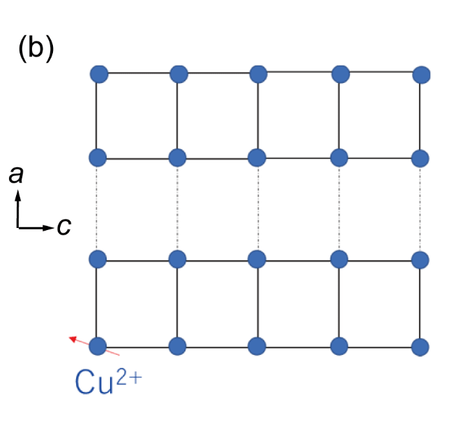 (b)逸見石の磁気スピン格子の幾何学的な特徴。実線は強い反強磁性相互作用、破線は弱い反強磁性相互作用を示す。