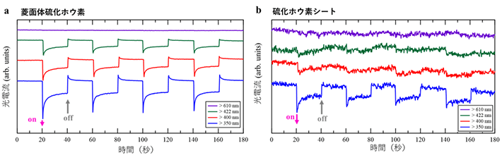 図5 (a)菱面体硫化ホウ素および(b)硫化ホウ素シートの光照射による電気化学的光電流応答の照射光波長依存性(20秒ごとに光のOnとOffを切り替えた際の電流の変化)。紫:610 nm以上の波長の光照射、緑:422 nm以上の波長の光照射、赤:400 nm以上の波長の光照射、青:350 nm以上の波長の光照射。菱面体硫化ホウ素では422 nm以上の波長(可視光)の光照射(緑)でも電流が流れている(光照射のOnとOffに応じて電流が変化している)のに対して、硫化ホウ素シートでは350 nm以上の波長の光照射(青)(紫外光の照射)でのみ電流が流れている。