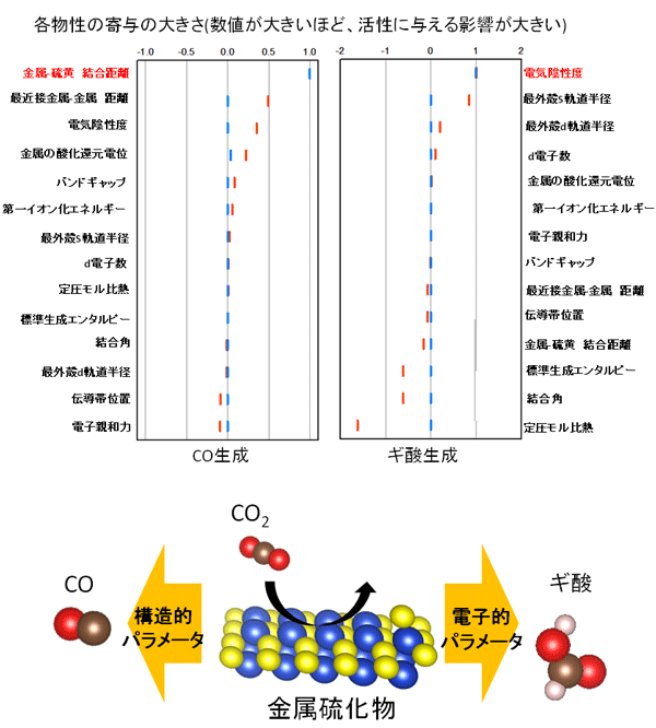 図3. 各物性パラメータを用いて重回帰分析を行った際の、各パラメータの活性への寄与の大きさ。左側はCO生成、右側はギ酸生成による結果を示す。グラフ内にある線のうち、赤は主成分分析を、青はラッソ回帰をそれぞれ行った結果を示す。