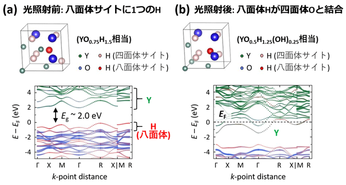 図2:(a) 光照射前の構造モデルにおけるバンド計算。(単位格子内の3つのOと5つのHを四面体サイト(Thサイト)に、 1つのHを八面体サイト(Ohサイト)に配置した。バンドギャップ(Eg)が~2.0 eVの絶縁体である。 (b) 光照射後の構造モデルにおけるバンド計算。八面体サイトのHが四面体サイトのOと結合している。フェルミ準位(EF)をYの伝導帯が横切っており、金属的な電子状態であることを表している。