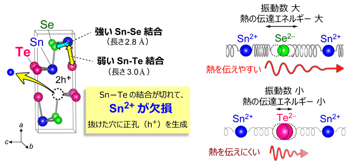 図4. SnSeへのTe置換により、高い電気伝導度と低い熱伝導率が両立されるメカニズム。(左)Sn(Se,Te)の結晶構造とSn—Se・Sn—Te結合の結合距離。(右)Sn—Se結合とSn—Te結合における熱伝導のイメージ図。