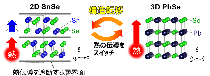 図2 SnSe(左)とPbSe(右)の結晶構造の違いと熱伝導の概念図。