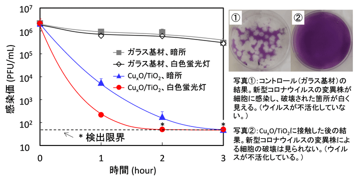 図3. 新型コロナウイルス(デルタ株)の不活化試験結果。CuxO/TiO2はガラス基材にコートした。白色蛍光灯は紫外線カットフィルムを介し、照度1,000ルクスで照射。写真はウイルス感染価の評価結果の一例を示す。