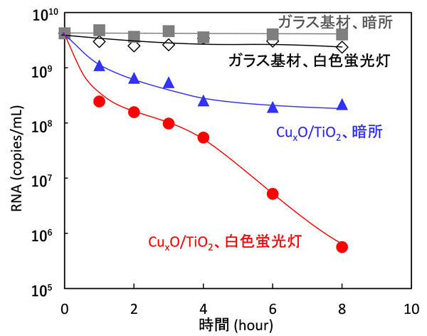 図6. RNAの変性試験(RNAの断片化試験)の結果。CuxO/TiO2はガラス基材にコートした。光照射条件は図3~5と同様。