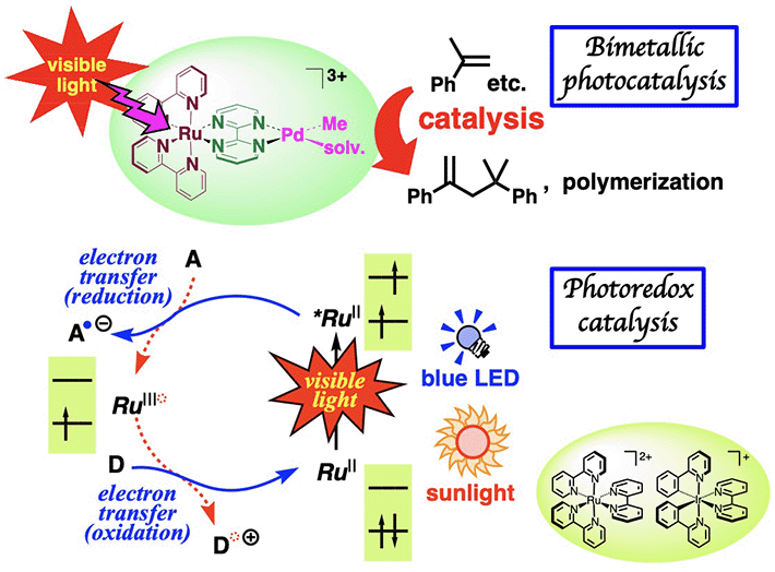 二核光触媒(上)とフォトレドックス触媒(下)