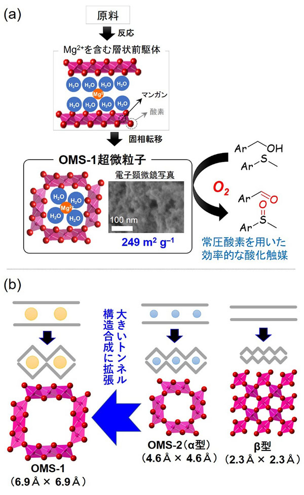 図1 (a)前駆体結晶化法により合成したOMS-1ナノ粒子と酸化触媒作用。(b)層状前駆体からトンネル構造をもつマンガン酸化物ナノ粒子を合成する本手法のイメージ図。