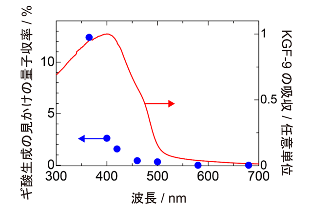 図2. 見かけの量子収率の作用スペクトル(用語8)とKGF-9の吸収。KGF-9の吸収(赤線)が500 nm付近から立ち上がっているのに対してギ酸生成の見かけの量子収率(青点)も同様に500 nmからその値が立ち上がっているため光触媒KGF-9が吸収した光エネルギーが光触媒反応に利用されていることを示している。