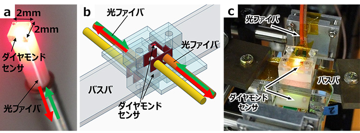 図2. (a)ダイヤモンドを光ファイバの先端に設けたセンサヘッド構造。光ファイバを通してダイヤモンドに緑色レーザー光が照射され(緑矢印)、NVセンタが赤色蛍光発光する。これを光ファイバを通じて検知する(赤矢印)。(b)バスバ(電流経路)の表裏にセンサヘッドを設けた差動型センサの構成図、(c)同写真。