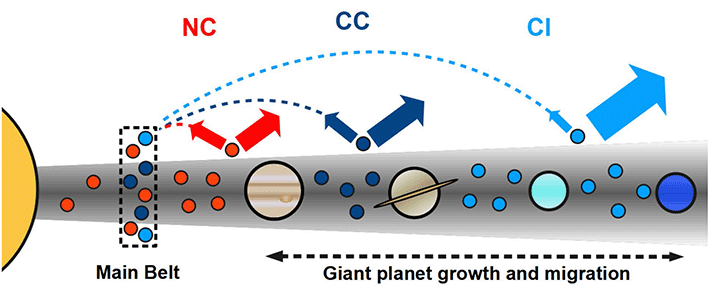 図3. 本論文が考えるイヴナ型炭素質隕石(CI)、炭素質隕石(CC)、非炭素質隕石(NC)が生まれた場所を示す模式図。揮発性物質に富み、鉄とチタンの同位体で独自のグループをつくるリュウグウやイヴナ型炭素質隕石は、他の炭素質隕石よりさらに遠くの天王星・海王星領域で生まれたと考えられる(©Hopp et al., 2022より)。