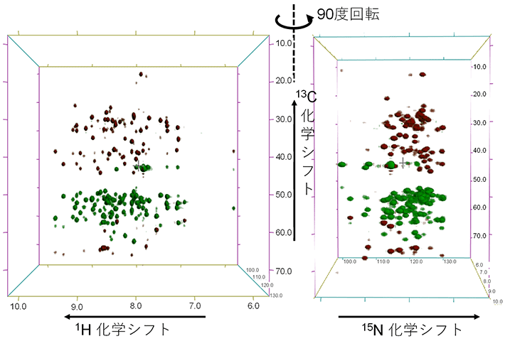図3 超1 GHzコンパクトNMR装置で取得したタンパク質溶液試料のNMRスペクトルの例 76アミノ酸残基からなるユビキチンタンパク質の1 mM水溶液(50 mMリン酸塩緩衝液、pH7)を測定した例。化学結合で結合する水素原子(1H:1,010 MHzに対するppm)、窒素原子(15N:102 MHzに対するppm)とCα原子とCβ原子(縦軸13C:254 MHzに対するppm)のNMR信号を3次元空間で表した図(3次元HNCACBスペクトル)。Cα原子は緑(正の強度)、Cβ原子は茶(負の強度)で区別され、それぞれのNMR信号が分子内のどの原子から出ているか決める(帰属という)ために使われる。測定時間は20時間だった。5 mm直径HCNプローブ(z軸勾配磁場コイル付き)を使用した。