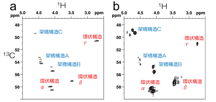 図4 固体試料(a)と溶液試料(b)で比較した硫黄結合点のメチン基の2次元NMR 天然ゴム(NR)を硫化すると、硫黄原子は高分子(ポリcis-イソプレン)の鎖の一部に結合し、硫黄と結合したメチン基(CH)などが生成するため、2次元NMRでメチン基の炭素・水素間の情報を得ることで、硫黄を含む部分構造を解析できる。固体試料(a)と溶液試料(b)を用いた高分解能2次元NMRスペクトルでは、架橋構造と環状構造を示すシグナルがいずれも一致していた。