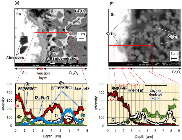 図3. 液体金属スズに浸漬した酸化物焼結体の表層腐食組織断面の走査型電子顕微鏡像、 (a) 500℃の液体スズに鉄の酸化物(Fe2O3)の焼結体を262時間浸漬した場合、 (b) 500℃の液体スズにクロムの酸化物(Cr2O3)の焼結体を262時間浸漬した場合
