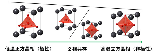 図2. Pb0.8Bi0.1Sr0.1VO3の低温正方晶相（極性）と高温立方晶相（非極性）。低温相を加熱すると、2相共存を介して、11.1%体積が小さい高温相に転移する。