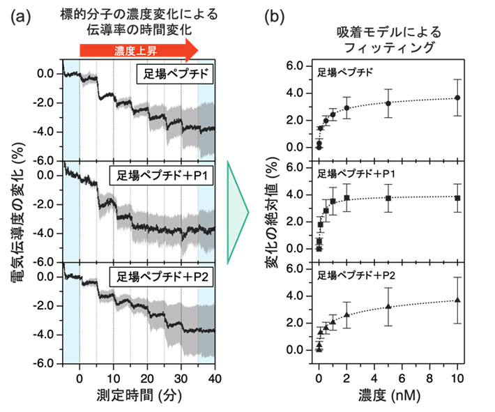 図3. （a）リモネンの吸着に対する電気伝導度の変化。縦軸は電流の変化率、横軸は時間。（b）各濃度のリモネンにおけるGFETの電気伝導度の変化とHillの式によるフィッティング。