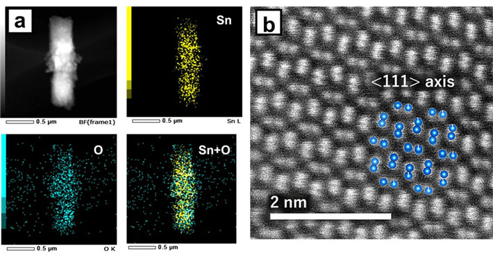 図3 溶液占有率80%で合成した物質のEDSマッピング像(a)と、原子分解能の高角度環状暗視野STEM像(b)