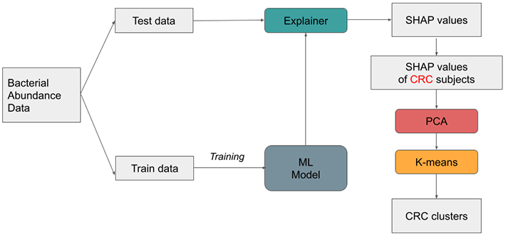 図1 研究の手法