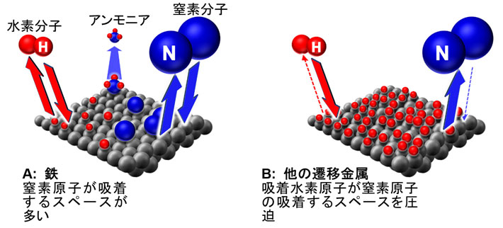 図2 遷移金属表面でのアンモニア生成