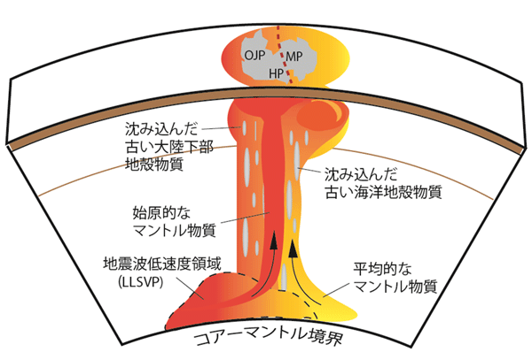 図6. マントル最下層から上昇したマントルプルームによって形成されたオントン・ジャワ・ヌイ。オントン・ジャワ・ヌイには4つのマントル物質がマグマの生成に関与しているが、オントン・ジャワ海台とヒクランギ海台では始原的なマントル物質の割合が多いのに対して、マニヒキ海台では平均的なマントル物質の割合が多いため(図4)、マントルプルームは下部マントルの物質境界の付近から上昇していると考えられる。そのような物質境界として南太平洋下に地震波低速度領域(LLSVP)が存在することが知られている。