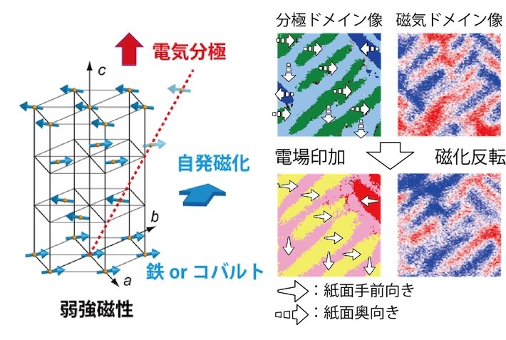 BiFe<sub>0.9</sub>Co<sub>0.1</sub>O<sub>3</sub>の自発磁化と薄膜の強誘電・強磁性ドメイン構造。紙面奥向きから手前への分極反転の前後で、磁気ドメインのコントラストが反転している。