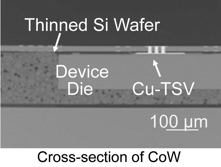 Cross-section of CoW